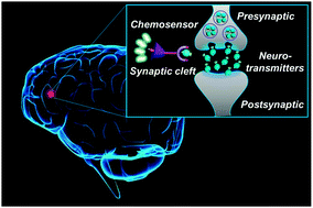 Graphical abstract: Chemical sensing of neurotransmitters