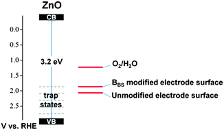 Graphical abstract: Enhanced photocatalytic water oxidation on ZnO photoanodes in a borate buffer electrolyte