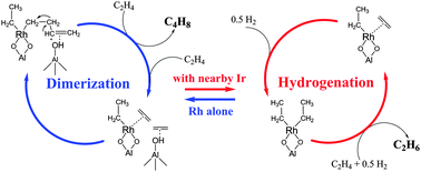 Graphical abstract: Zeolite-supported bimetallic catalyst: controlling selectivity of rhodium complexes by nearby iridium complexes