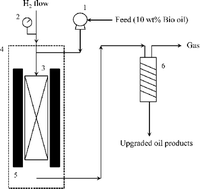 Graphical abstract: Hydrotreatment of lignocellulosic biomass derived oil using a sulfided NiMo/γ-Al2O3 catalyst