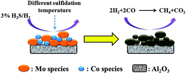 Graphical abstract: Effect of sulfidation temperature on CoO–MoO3/γ-Al2O3 catalyst for sulfur-resistant methanation