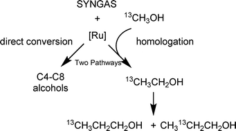 Graphical abstract: Alternative pathways in the ruthenium catalysed hydrogenation of CO to alcohols