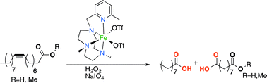 Graphical abstract: Fe(6-Me-PyTACN)-catalyzed, one-pot oxidative cleavage of methyl oleate and oleic acid into carboxylic acids with H2O2 and NaIO4