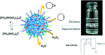 Graphical abstract: Amphiphilic phosphotungstate-paired ionic copolymer as a highly efficient catalyst for triphase epoxidation of alkenes with H2O2