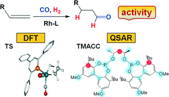 Graphical abstract: A theoretical study of the activity in Rh-catalysed hydroformylation: the origin of the enhanced activity of the π-acceptor phosphinine ligand