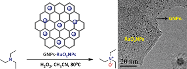 Graphical abstract: Catalytic N-oxidation of tertiary amines on RuO2NPs anchored graphene nanoplatelets