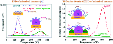 Graphical abstract: Ozone catalytic oxidation of adsorbed benzene over AgMn/HZSM-5 catalysts at room temperature