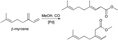 Graphical abstract: First methoxycarbonylation of the renewable β-myrcene: high selectivity through reduced isomerisation