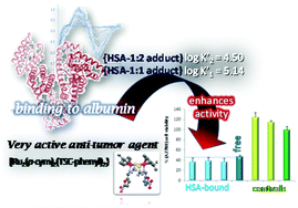 Graphical abstract: Screening organometallic binuclear thiosemicarbazone ruthenium complexes as potential anti-tumour agents: cytotoxic activity and human serum albumin binding mechanism