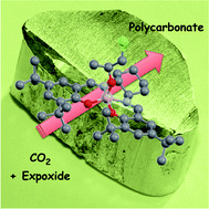 Graphical abstract: Aluminium coordination complexes in copolymerization reactions of carbon dioxide and epoxides