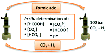 Graphical abstract: Direct, in situ determination of pH and solute concentrations in formic acid dehydrogenation and CO2 hydrogenation in pressurised aqueous solutions using 1H and 13C NMR spectroscopy