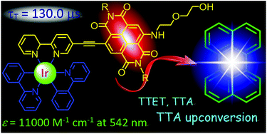 Graphical abstract: Green light-excitable naphthalenediimide acetylide-containing cyclometalated Ir(iii) complex with long-lived triplet excited states as triplet photosensitizers for triplet–triplet annihilation upconversion