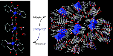 Graphical abstract: Copper(ii) assembling with bis(2-pyridylcarbonyl)amidate and N,N′-2,2-phenylenebis(oxamate)