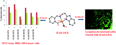 Graphical abstract: Copper(ii) complexes with 2NO and 3N donor ligands: synthesis, structures and chemical nuclease and anticancer activities