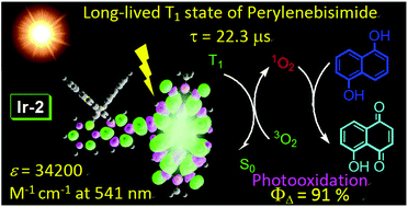 Graphical abstract: Observation of the long-lived triplet excited state of perylenebisimide (PBI) in C^N cyclometalated Ir(iii) complexes and application in photocatalytic oxidation