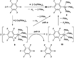 Graphical abstract: Selective C–F/C–H bond activation of fluoroarenes by cobalt complex supported with phosphine ligands