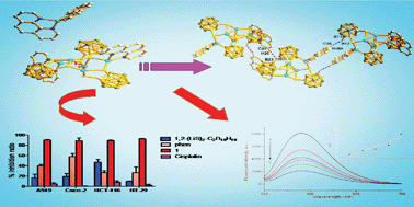 Graphical abstract: A novel polynuclear Cu(i)–sulfur cluster with 1,2-dithiolate-o-carborane ligands as a potential in vitro antitumour agent and its DNA binding properties