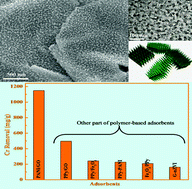 Graphical abstract: Polyaniline nanorods dotted on graphene oxide nanosheets as a novel super adsorbent for Cr(vi)