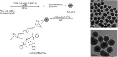 Graphical abstract: Multifunctional nanocomposites of lanthanide (Eu3+, Tb3+) complexes functionalized magnetic mesoporous silica nanospheres covalently bonded with polymer modified ZnO