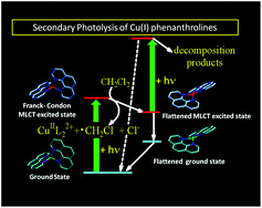 Graphical abstract: A single- and double-flash flash photolysis study of the sequential biphotonic photoprocesses of Cu(i) phenanthrolines. Comparison of the helicate complex, [Cu2(1,3-bis(9-methyl-1,10-phenanthrolin-2-yl)propane)2]2+, and [Cu(2,9-dimethyl-1,10-phenanthroline)2]+ photoprocesses