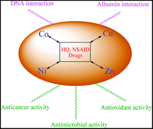 Graphical abstract: Quinolones and non-steroidal anti-inflammatory drugs interacting with copper(ii), nickel(ii), cobalt(ii) and zinc(ii): structural features, biological evaluation and perspectives
