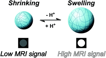 Graphical abstract: A nanospherical polymer as an MRI sensor without paramagnetic or superparamagnetic species