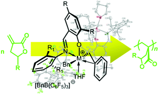 Graphical abstract: Chiral and achiral (imino)phenoxy-based cationic group 4 non-metallocene complexes as catalysts for polymerization of renewable α-methylene-γ-butyrolactones