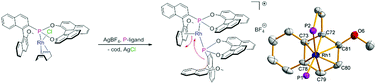 Graphical abstract: Chiral MOP-phosphonite ligands: synthesis, characterisation and interconversion of η1,η6-(σ-P, π-arene) chelated rhodium(i) complexes