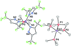 Graphical abstract: Synthesis and structures of Co bis-trifluoromethylpyrazolate complexes