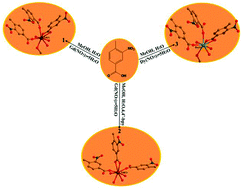 Graphical abstract: Three novel 1D lanthanide-carboxylate polymeric complexes: syntheses, crystal structures and magnetic analyses