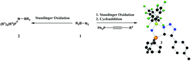 Graphical abstract: Boron azides in Staudinger oxidations and cycloadditions