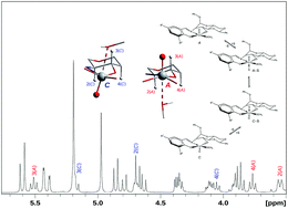 Graphical abstract: Chiral vanadium(v) complexes with 2-aminoglucose Schiff-base ligands and their solution configurations: synthesis, structures, and DFT calculations