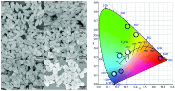 Graphical abstract: Multicolor and bright white upconversion luminescence from rice-shaped lanthanide doped BiPO4 submicron particles