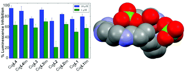 Graphical abstract: Homo- and heterobinuclear Cu2+ and Zn2+ complexes of abiotic cyclic hexaazapyridinocyclophanes as SOD mimics