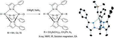 Graphical abstract: Synthesis and characterization of coordinatively unsaturated nickel(ii) and manganese(ii) alkyl complexes supported by the hydrotris(3-phenyl-5-methylpyrazolyl)borate (TpPh,Me) ligand