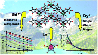 Graphical abstract: Lanthanide based coordination polymers chill, relax under magnetic field and also fluoresce