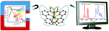 Graphical abstract: Fluorescent single-ion magnets: molecular hybrid (HNEt3)[DyxYb1−x(bpyda)2] (x = 0.135–1)