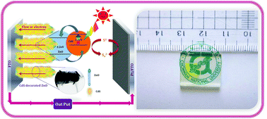 Graphical abstract: Chemically grown vertically aligned 1D ZnO nanorods with CdS coating for efficient quantum dot sensitized solar cells (QDSSC): a controlled synthesis route