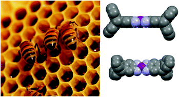 Graphical abstract: Towards a self-assembled honeycomb structure via diaminotriptycene metal complexes