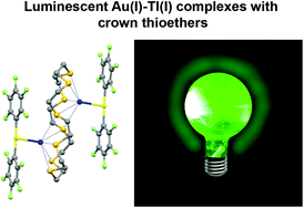 Graphical abstract: Heterometallic gold(i)–thallium(i) compounds with crown thioethers