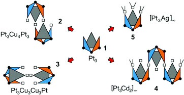 Graphical abstract: Discrete and polymeric heteronuclear constructs derived from triangular 2,2′-bipyrazine complexes of cis-a2PtII (with a = NH3 or a2 = en)