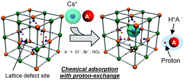 Graphical abstract: Proton-exchange mechanism of specific Cs+ adsorption via lattice defect sites of Prussian blue filled with coordination and crystallization water molecules