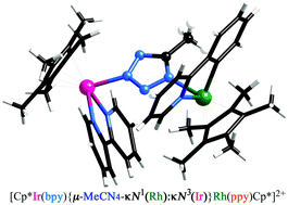Graphical abstract: Comparison of ancillary ligand effects between 2,2′-bipyridine and 2-(2′-pyridyl)phenyl in the linkage and bridging isomerism of 5-methyltetrazolato iridium(iii) and/or rhodium(iii) complexes