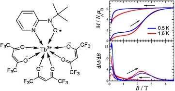 Graphical abstract: Single-molecule magnet [Tb(hfac)3(2pyNO)] (2pyNO = t-butyl 2-pyridyl nitroxide) with a relatively high barrier of magnetization reversal
