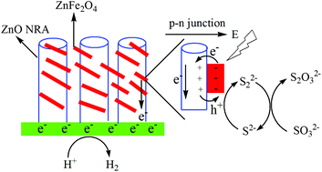 Graphical abstract: A ZnFe2O4–ZnO nanorod array p–n junction composite and its photoelectrochemical performance