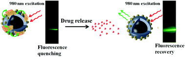 Graphical abstract: Multifunctional MnO2 nanosheet-modified Fe3O4@SiO2/NaYF4:Yb, Er nanocomposites as novel drug carriers