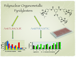 Graphical abstract: Synthesis and evaluation of new polynuclear organometallic Ru(ii), Rh(iii) and Ir(iii) pyridyl ester complexes as in vitro antiparasitic and antitumor agents