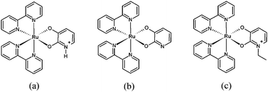 Graphical abstract: Synthesis and characterization of ruthenium polypyridyl complexes with hydroxypyridine derivatives: effect of protonation and ethylation at the pyridyl nitrogen