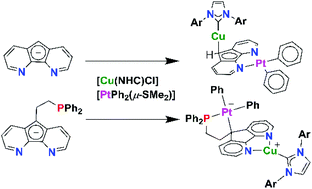 Graphical abstract: Selective one-pot syntheses of PtII–CuI heterobimetallic complexes of 4,5-diazafluorenide derivatives