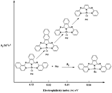 Graphical abstract: Kinetic and mechanistic studies of 1,3-bis(2-pyridylimino)isoindolate Pt(ii) derivatives. Experimental and new computational approach